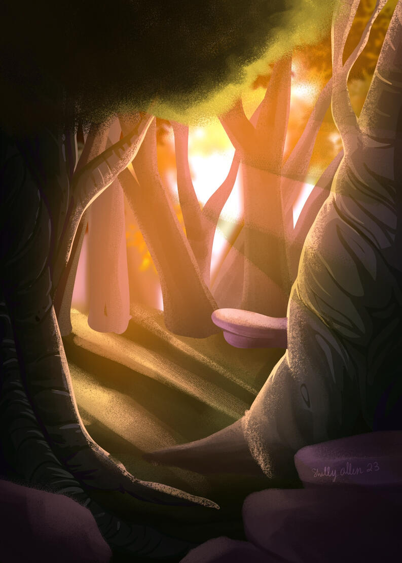 Forest