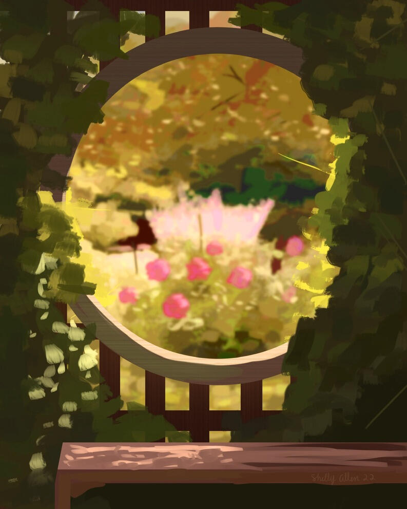 Looking In